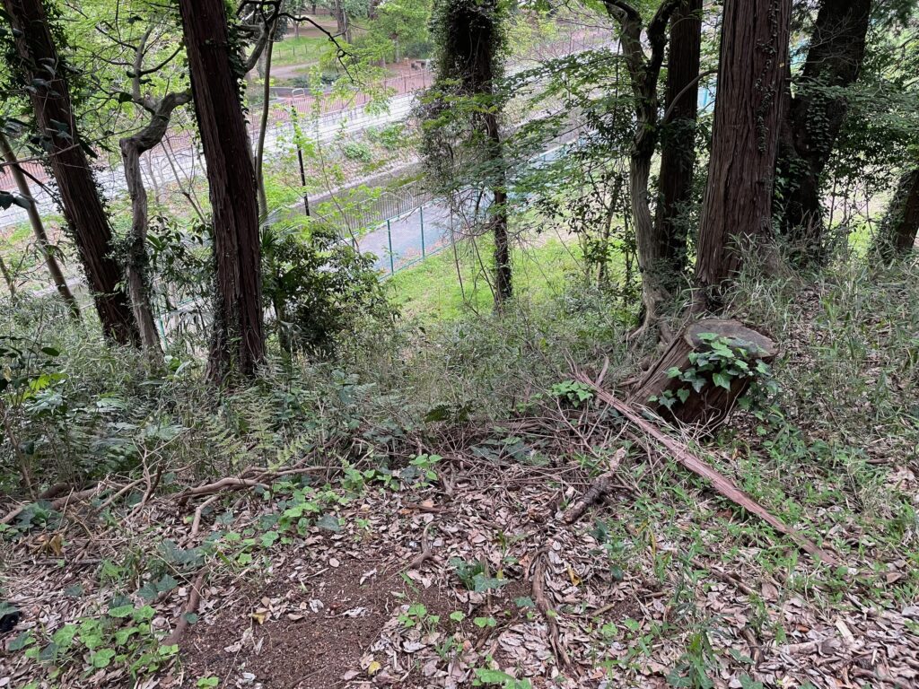 鋭く曲がった後滑りやすい急斜面があった