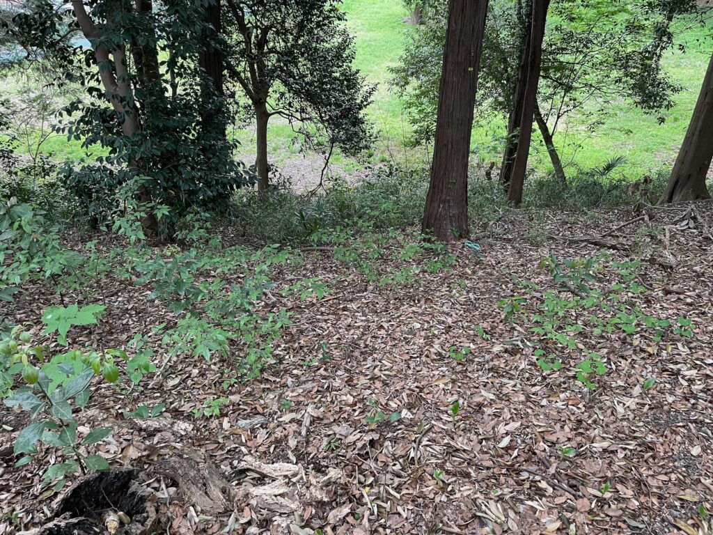 ここは一番よく練習した急斜面