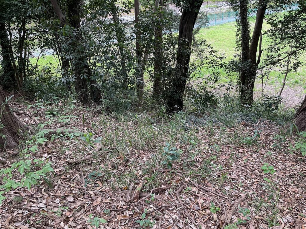 長男も練習した急斜面