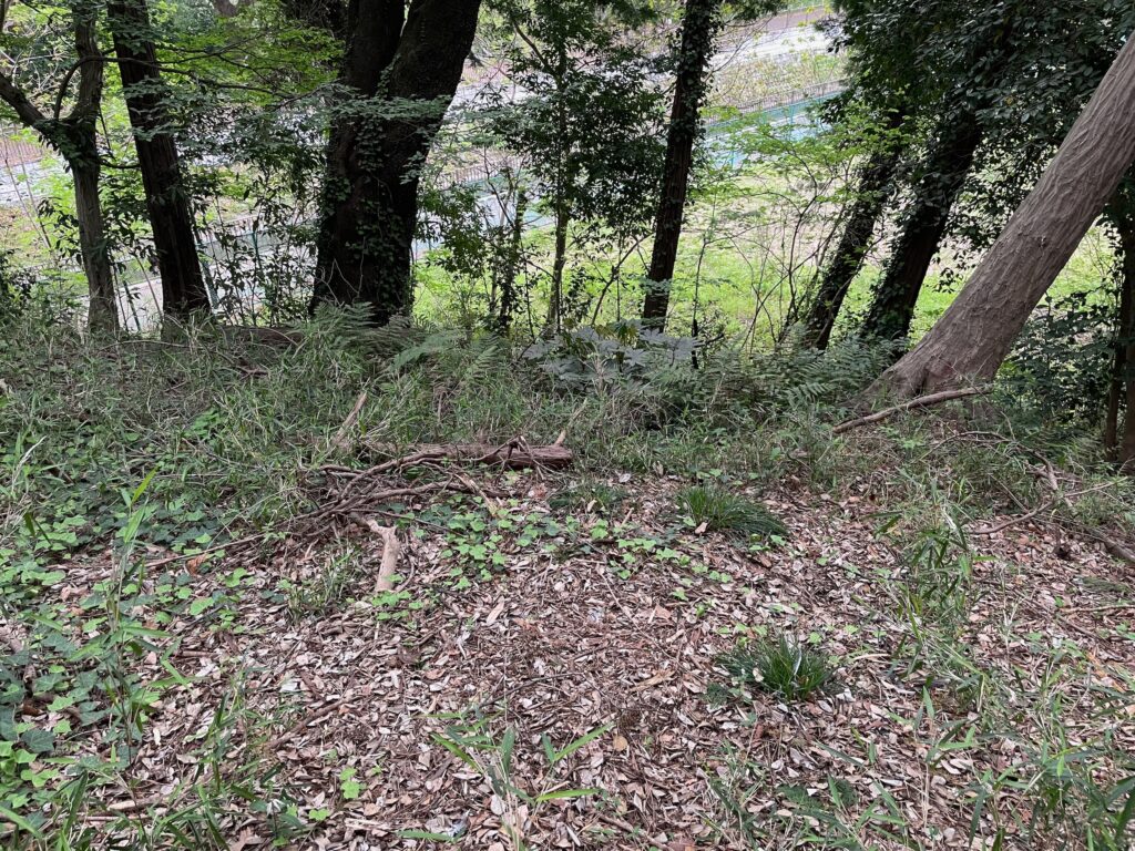 近所の高校の自転車部も練習していたS字があった斜面