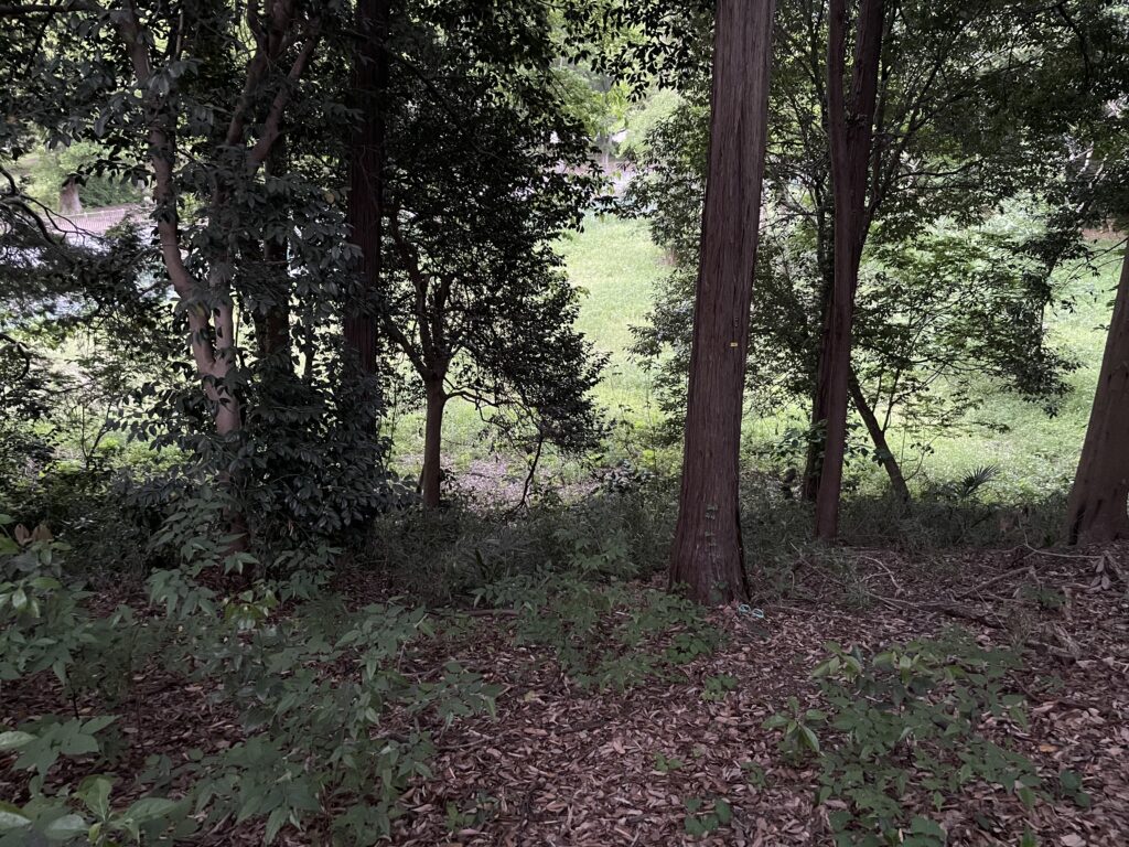 八幡様の裏