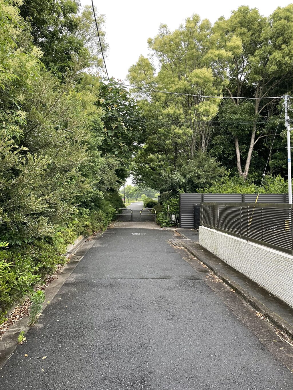 本格的に雨が降っていた