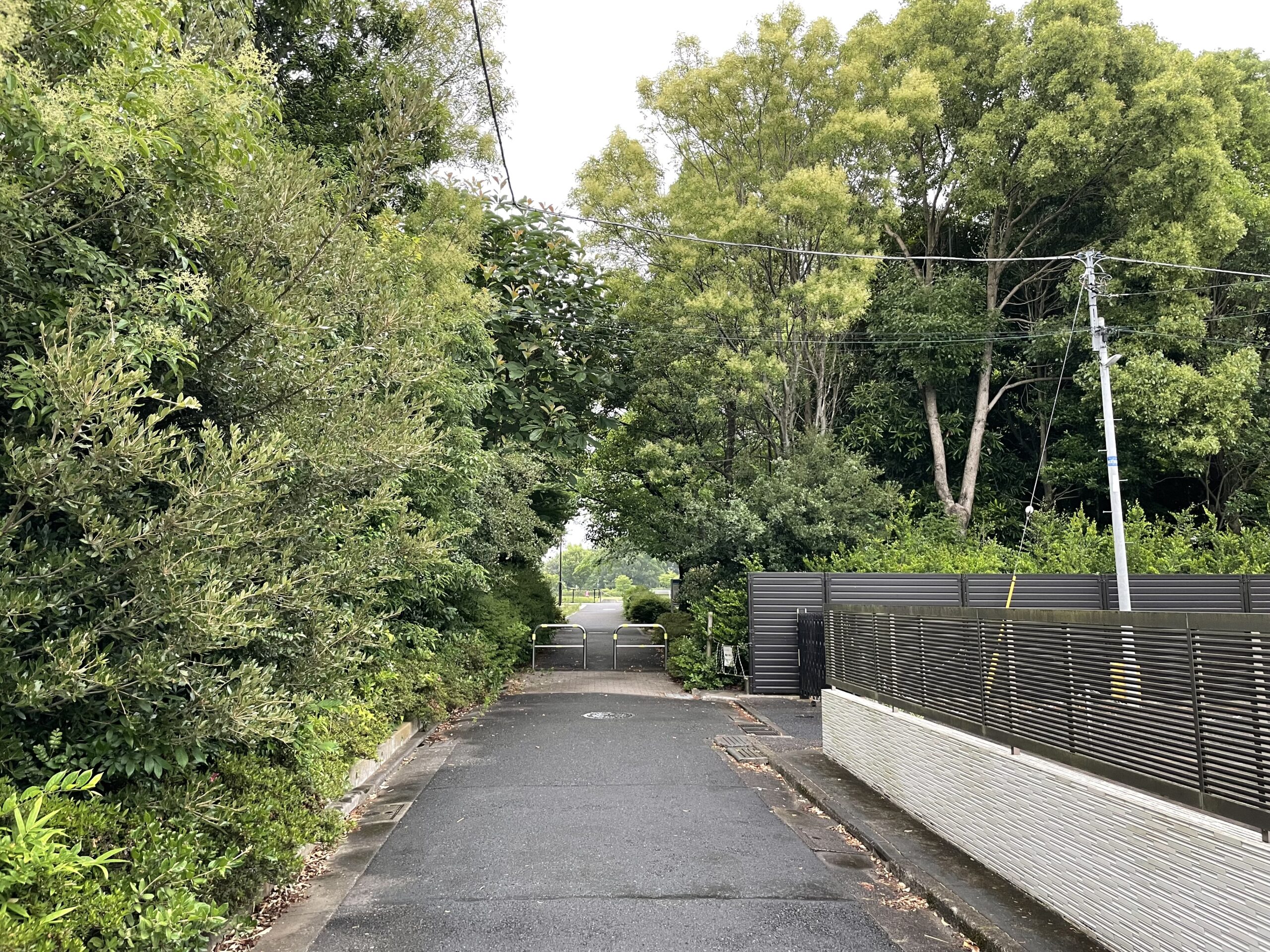 SB運動場