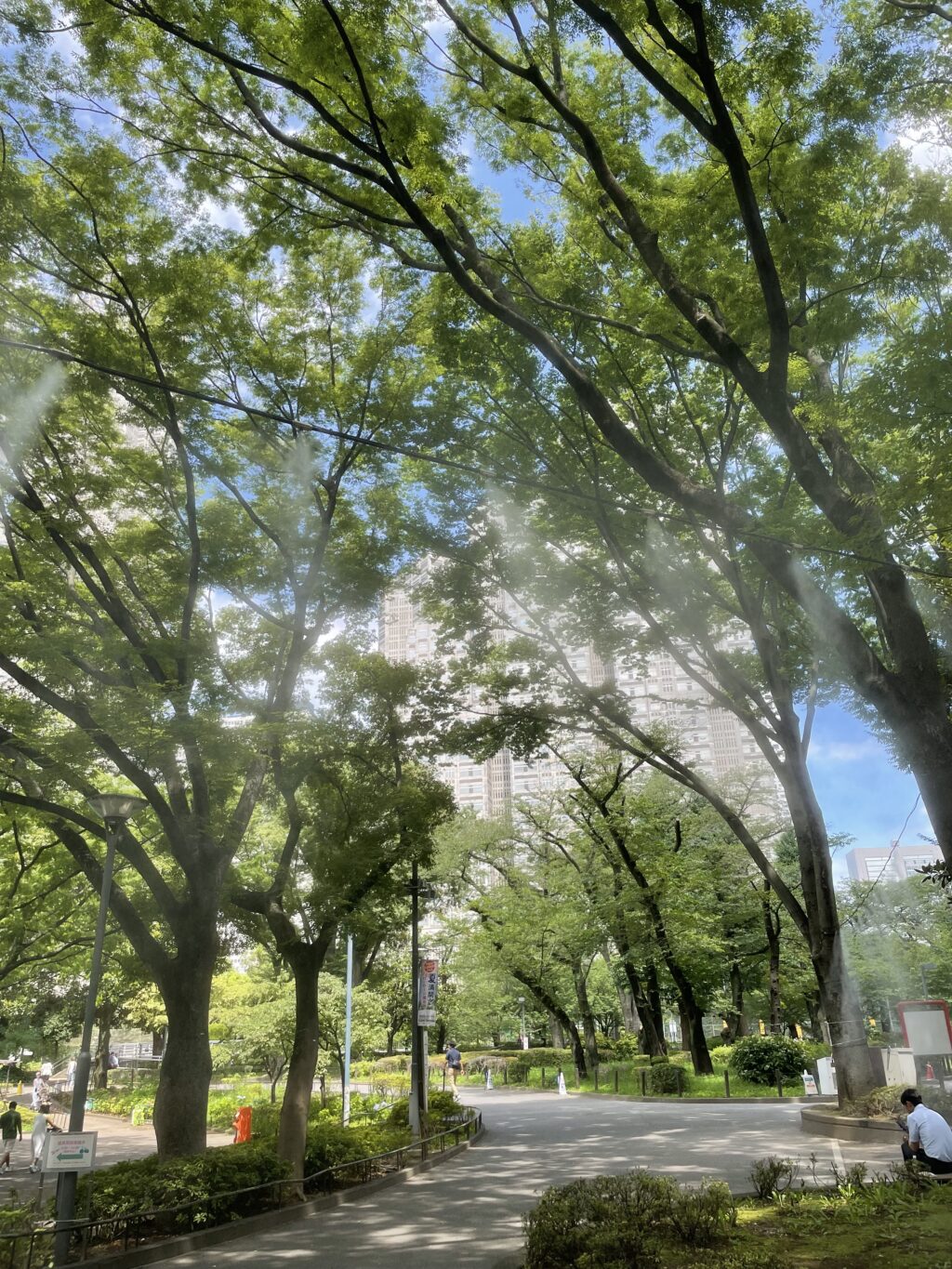 公園内のミスト噴霧